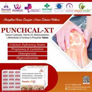 PUNCHCAL XT - CAL CARBONATE VIT D3 2000IU METHYLCOBALAMIN L-METHYLFOLATECAL PYRIDOXAL PHOSPHATE TAB