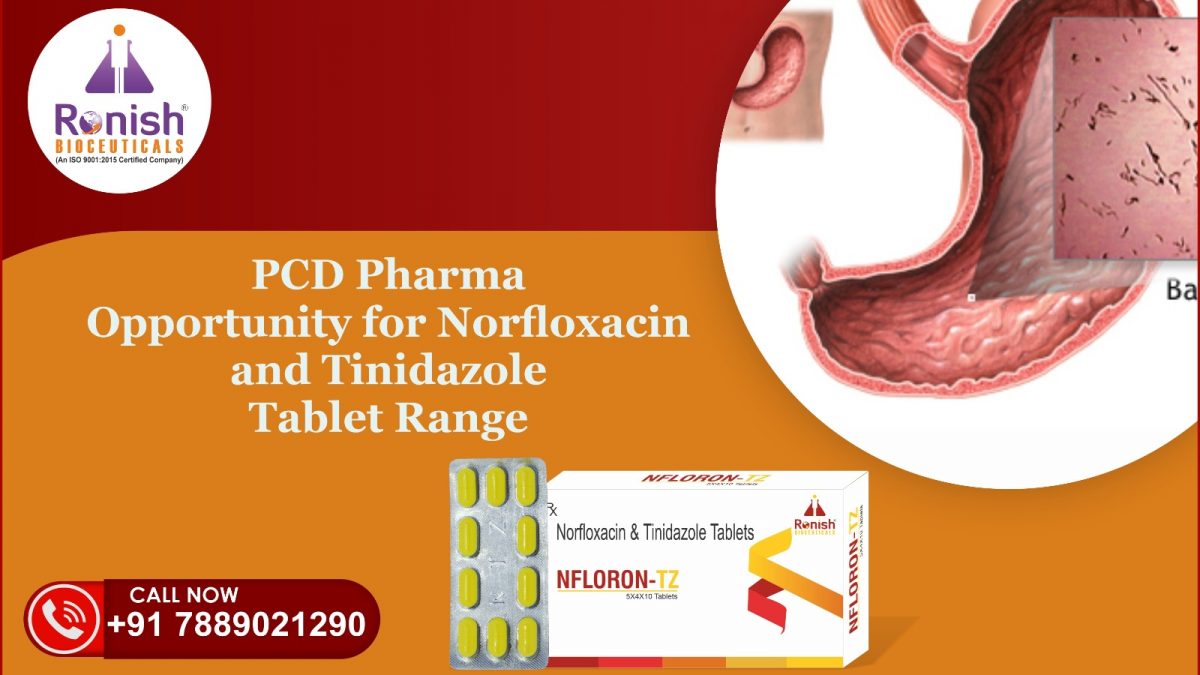NFLORON TZ - NORFLOXACIN 400MG TINIDAZOLE 600MG TABLETS